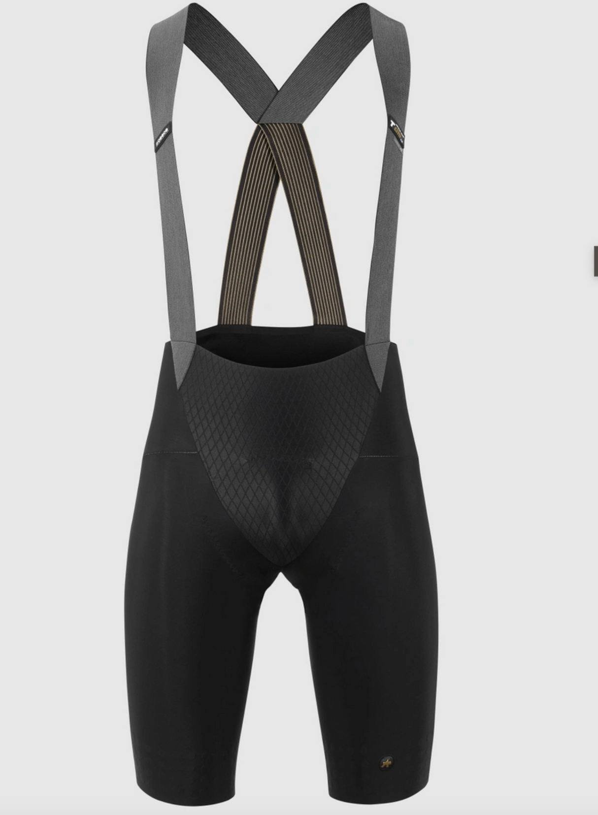 Assos MILLE GTO BIB SHORTS C2 LONG Black LG