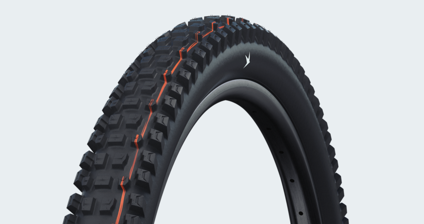 Schwalbe Albert Trail Pro Radial Tire