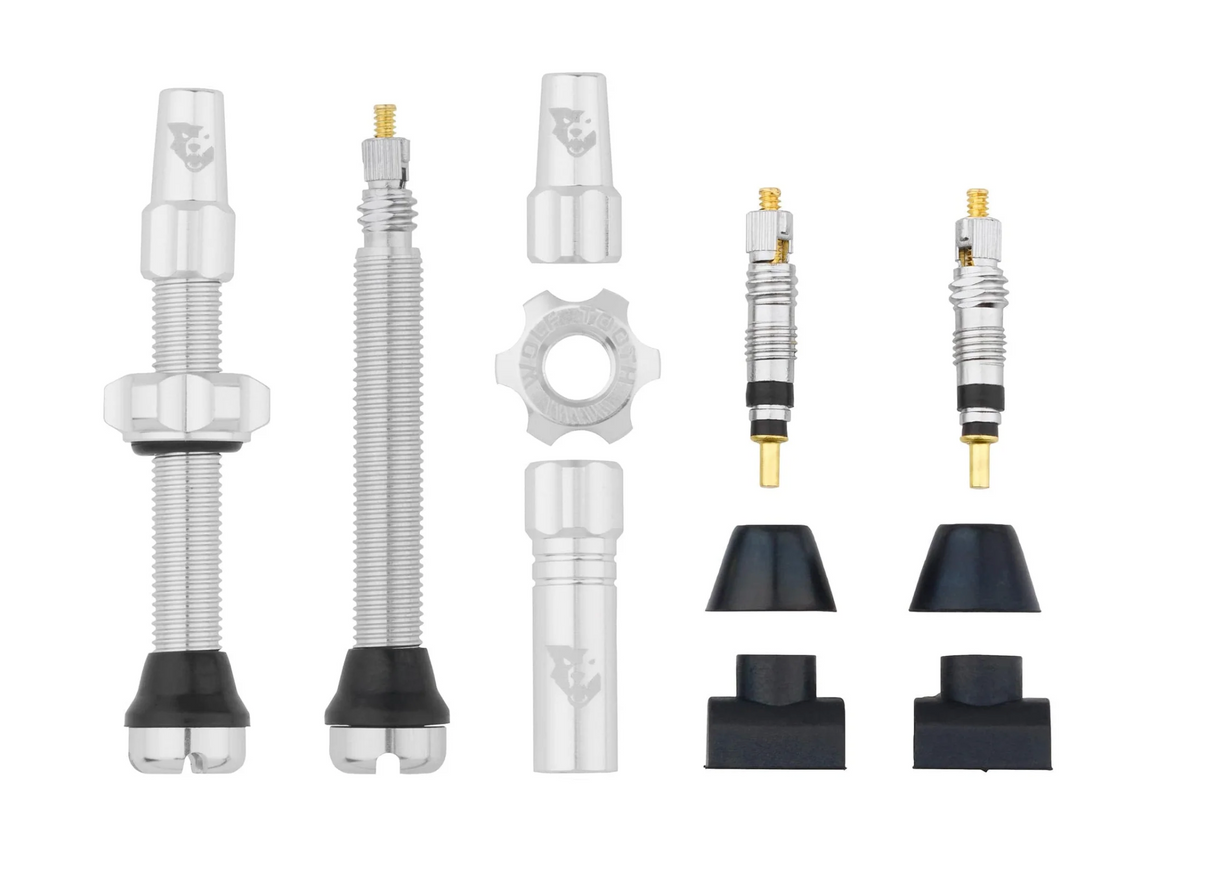 Wolf Tooth Tubeless Presta Valve Stem Kit - 44mm - Raw Silver - Made in USA