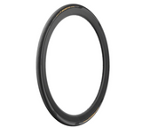 Pirelli P ZERO Race TLR Tire - 700 x 28 Tubeless Black/Gold, SmartEvo, SpeedCore